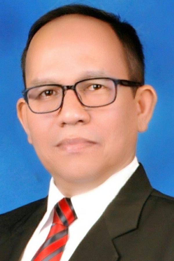 Ir. Irsal, M.P.