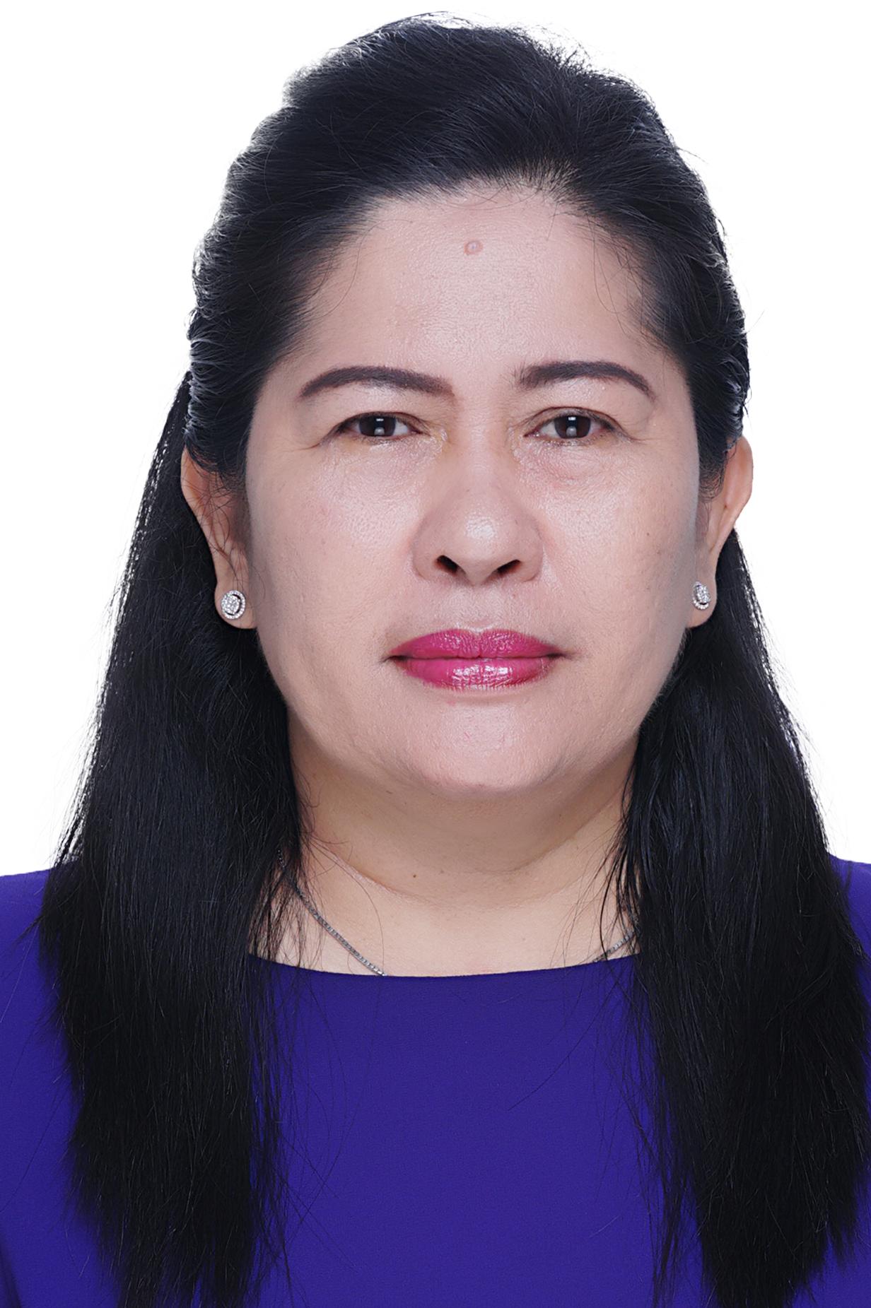 Ir. Meiriani, M.P.