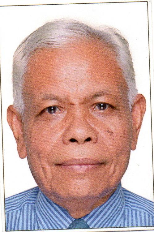 Prof. Dr. Ir. Sayed Umar, M.S.